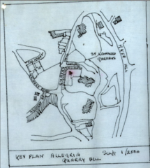 1955 Plans showing layout of grounds and proposed Allegria Cottage
